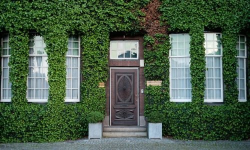 Elegant custom entry door surrounded by ivy-covered walls, featuring intricate wood detailing and large windows. Duluth Construction specializes in high-quality door installations and window replacement services, enhancing curb appeal and energy efficiency.